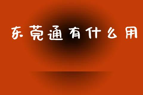 东莞通有什么用_https://wap.sdxiaoxijinshu.com_财经_第1张