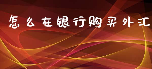 怎么在银行购买外汇_https://wap.sdxiaoxijinshu.com_财经_第1张