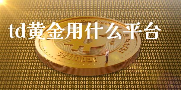 td黄金用什么平台_https://wap.sdxiaoxijinshu.com_财经_第1张