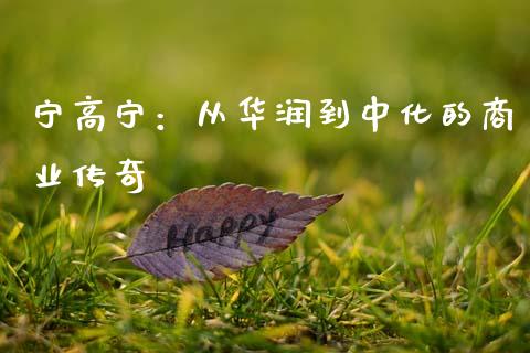 宁高宁：从华润到中化的商业传奇_https://wap.sdxiaoxijinshu.com_财经_第1张