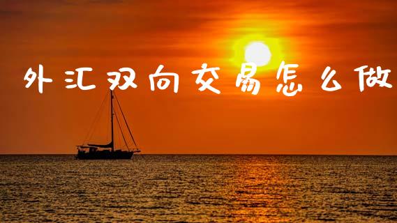 外汇双向交易怎么做_https://wap.sdxiaoxijinshu.com_财经_第1张