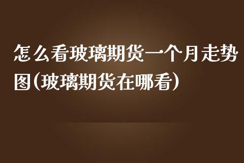 怎么看玻璃期货一个月走势图(玻璃期货在哪看)_https://wap.sdxiaoxijinshu.com_期货_第1张