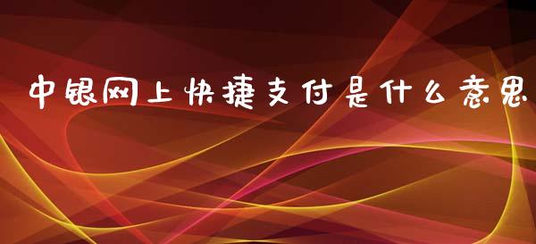 中银网上快捷支付是什么意思_https://wap.sdxiaoxijinshu.com_金融_第1张