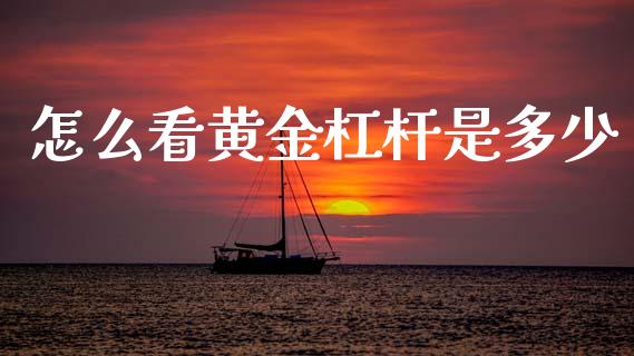 怎么看黄金杠杆是多少_https://wap.sdxiaoxijinshu.com_财经_第1张
