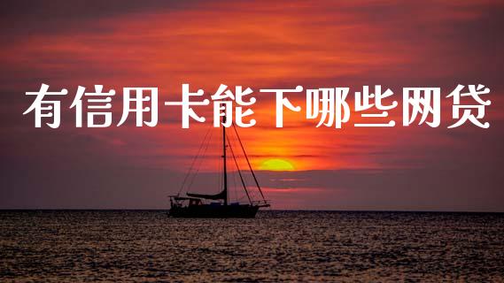 有信用卡能下哪些网贷_https://wap.sdxiaoxijinshu.com_理财_第1张