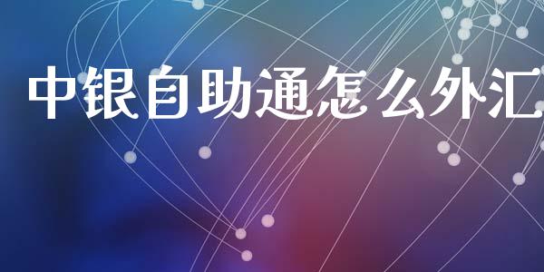 中银自助通怎么外汇_https://wap.sdxiaoxijinshu.com_理财_第1张