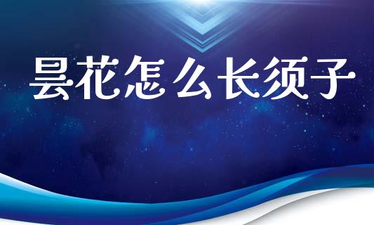 昙花怎么长须子_金融_第1张_金融万问站 昙花怎么长须子_https://wap.sdxiaoxijinshu.com_金融_第1张