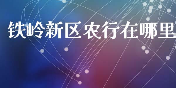 铁岭新区农行在哪里_https://wap.sdxiaoxijinshu.com_理财_第1张
