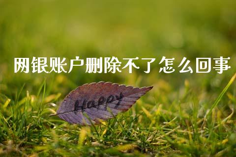 网银账户删除不了怎么回事_https://wap.sdxiaoxijinshu.com_金融_第1张