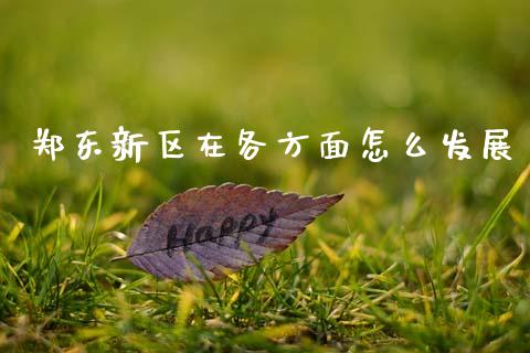 郑东新区在各方面怎么发展_https://wap.sdxiaoxijinshu.com_期货_第1张