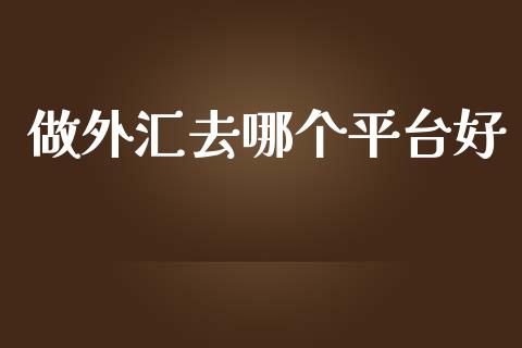 做外汇去哪个平台好_https://wap.sdxiaoxijinshu.com_财经_第1张