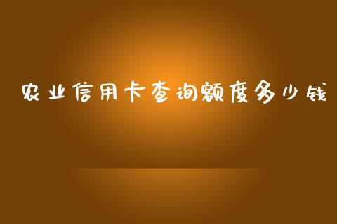 农业信用卡查询额度多少钱_https://wap.sdxiaoxijinshu.com_理财_第1张