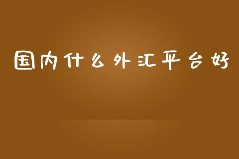国内什么外汇平台好_https://wap.sdxiaoxijinshu.com_财经_第1张