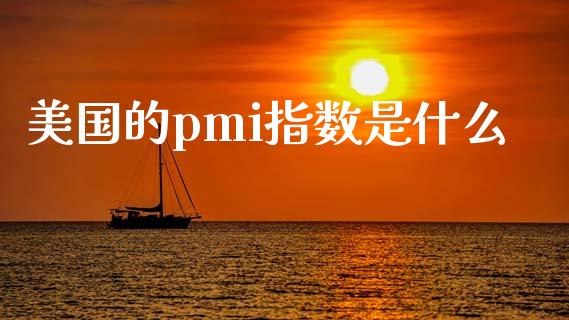美国的pmi指数是什么_https://wap.sdxiaoxijinshu.com_财经_第1张