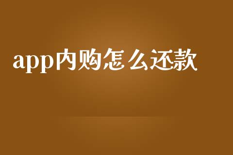 app内购怎么还款_https://wap.sdxiaoxijinshu.com_金融_第1张