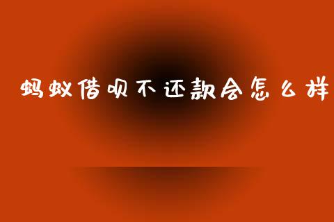 蚂蚁借呗不还款会怎么样_https://wap.sdxiaoxijinshu.com_理财_第1张
