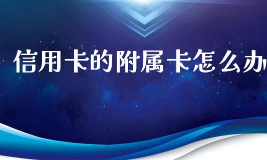 信用卡的附属卡怎么办_https://wap.sdxiaoxijinshu.com_金融_第1张