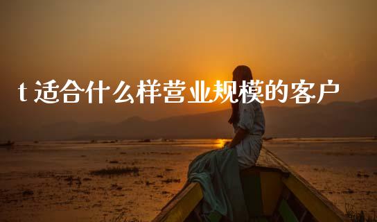 t 适合什么样营业规模的客户_https://wap.sdxiaoxijinshu.com_金融_第1张