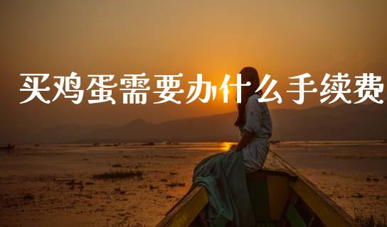 买鸡蛋需要办什么手续费_https://wap.sdxiaoxijinshu.com_期货_第1张