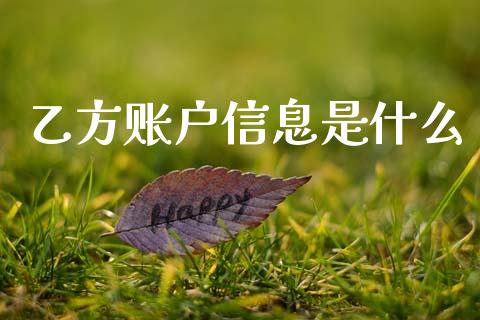 乙方账户信息是什么_https://wap.sdxiaoxijinshu.com_金融_第1张