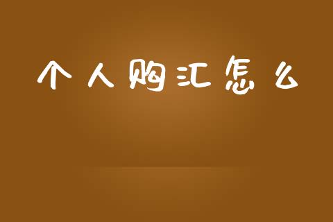 个人购汇怎么_https://wap.sdxiaoxijinshu.com_财经_第1张