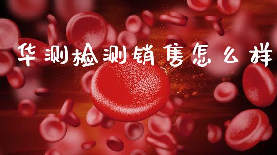 华测检测销售怎么样_https://wap.sdxiaoxijinshu.com_期货_第1张