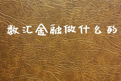 数汇金融做什么的_https://wap.sdxiaoxijinshu.com_财经_第1张