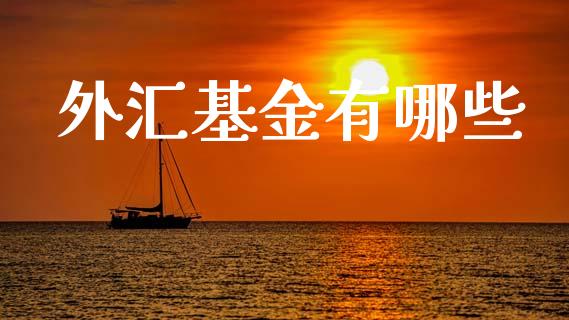外汇基金有哪些_https://wap.sdxiaoxijinshu.com_理财_第1张