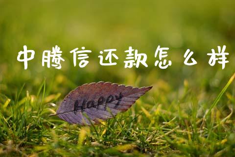 中腾信还款怎么样_https://wap.sdxiaoxijinshu.com_理财_第1张