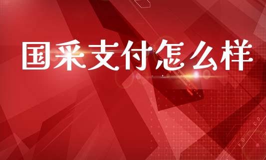 国采支付怎么样_https://wap.sdxiaoxijinshu.com_金融_第1张