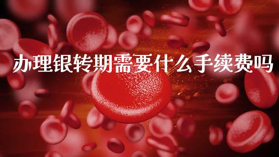 办理银转期需要什么手续费吗_https://wap.sdxiaoxijinshu.com_金融_第1张
