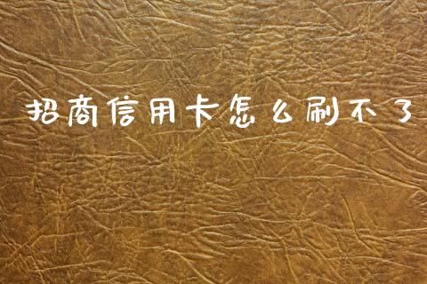 招商信用卡怎么刷不了_https://wap.sdxiaoxijinshu.com_金融_第1张