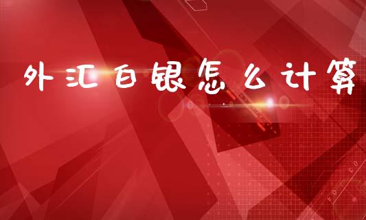 外汇白银怎么计算_https://wap.sdxiaoxijinshu.com_财经_第1张