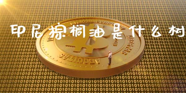 印尼棕榈油是什么树_https://wap.sdxiaoxijinshu.com_理财_第1张