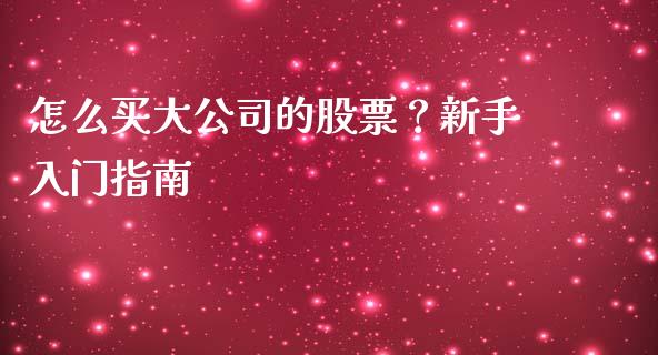 怎么买大公司的股票？新手入门指南_https://wap.sdxiaoxijinshu.com_金融_第1张