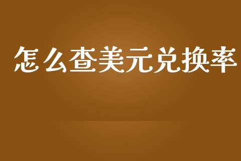 怎么查美元兑换率_https://wap.sdxiaoxijinshu.com_财经_第1张