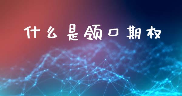 什么是领口期权_https://wap.sdxiaoxijinshu.com_期货_第1张