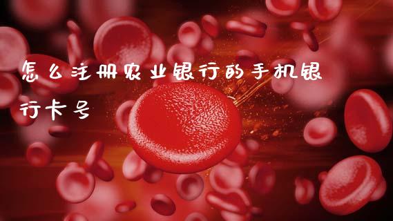 怎么注册农业银行的手机银行卡号_https://wap.sdxiaoxijinshu.com_金融_第1张