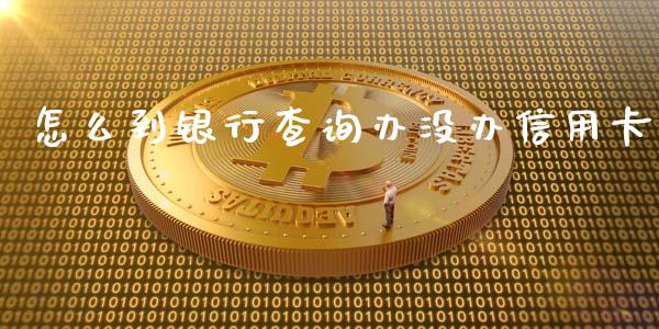 怎么到银行查询办没办信用卡_https://wap.sdxiaoxijinshu.com_金融_第1张