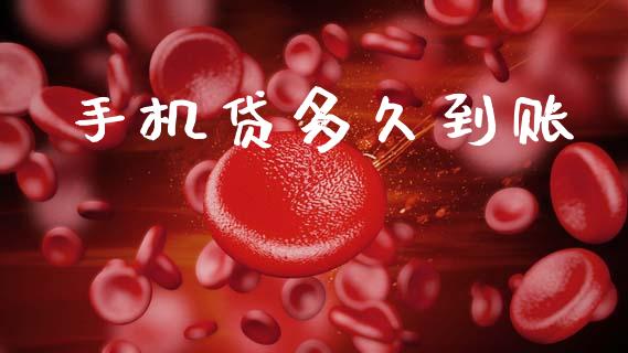 手机贷多久到账_https://wap.sdxiaoxijinshu.com_理财_第1张