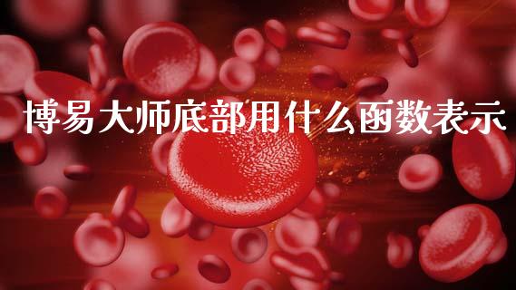 博易大师底部用什么函数表示_https://wap.sdxiaoxijinshu.com_期货_第1张