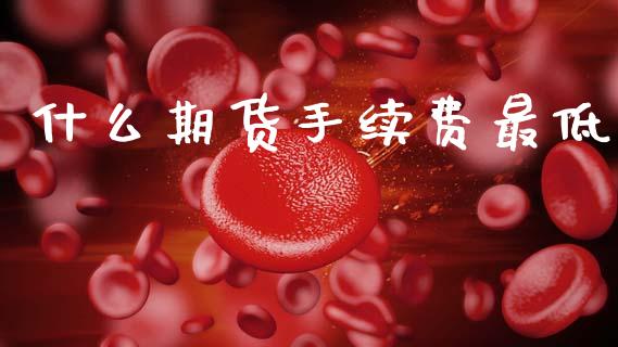 什么期货手续费最低_https://wap.sdxiaoxijinshu.com_期货_第1张
