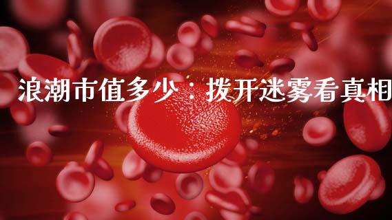 浪潮市值多少：拨开迷雾看真相_https://wap.sdxiaoxijinshu.com_财经_第1张