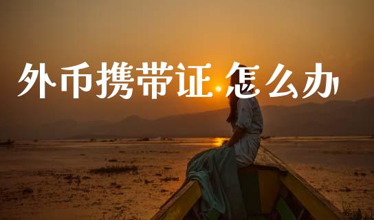 外币携带证 怎么办_https://wap.sdxiaoxijinshu.com_金融_第1张
