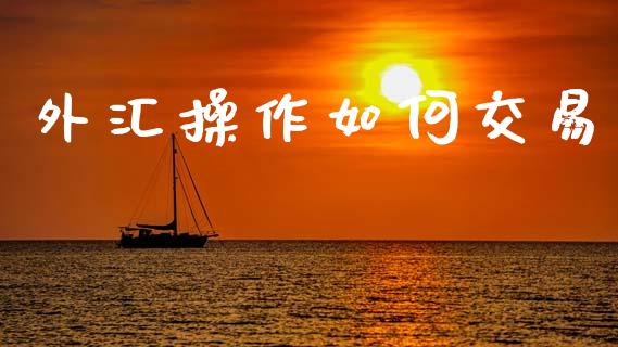 外汇操作如何交易_https://wap.sdxiaoxijinshu.com_财经_第1张