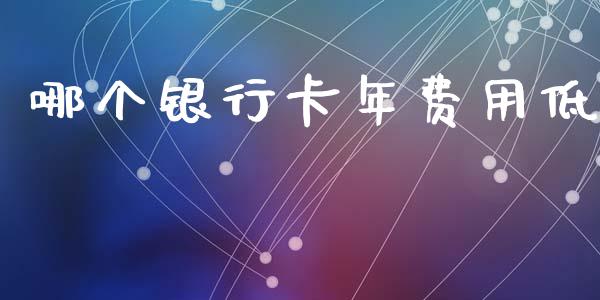 哪个银行卡年费用低_https://wap.sdxiaoxijinshu.com_理财_第1张