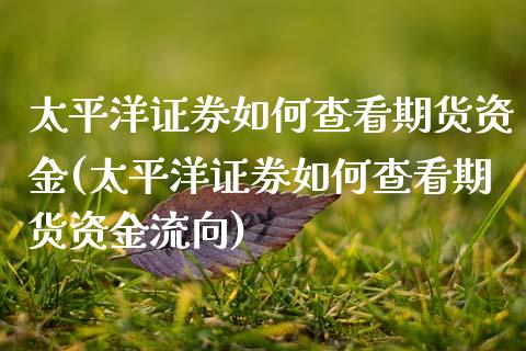 太平洋证券如何查看期货资金(太平洋证券如何查看期货资金流向)_https://wap.sdxiaoxijinshu.com_期货_第1张