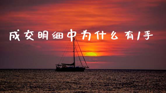 成交明细中为什么有1手_https://wap.sdxiaoxijinshu.com_理财_第1张