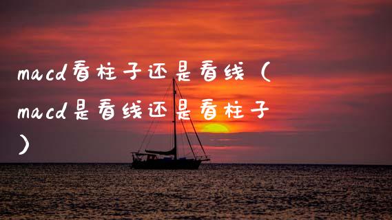 macd看柱子还是看线（macd是看线还是看柱子）_https://wap.sdxiaoxijinshu.com_财经_第1张