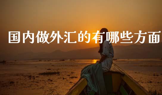 国内做外汇的有哪些方面_https://wap.sdxiaoxijinshu.com_财经_第1张